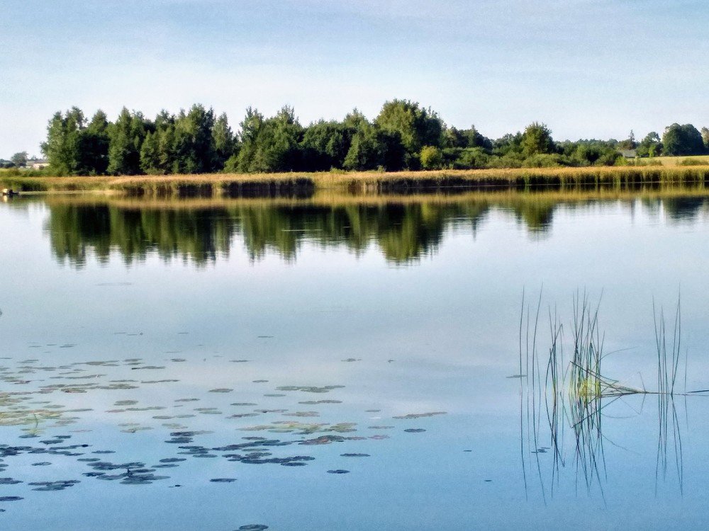 Photograph by Alvydas Ldk