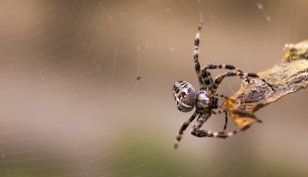 Photograph by Екатерина Будько