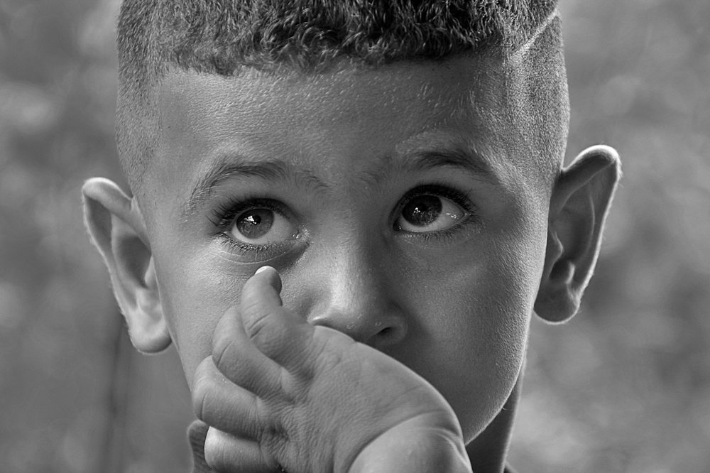 Photograph by Debbie Strauss