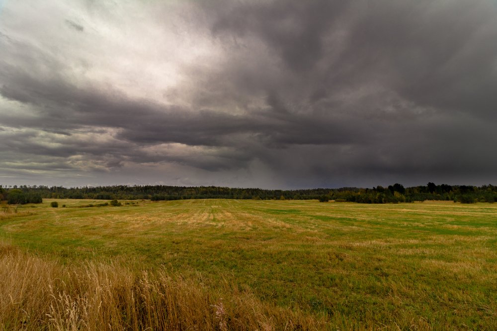 Photograph by Andrey Lesnik