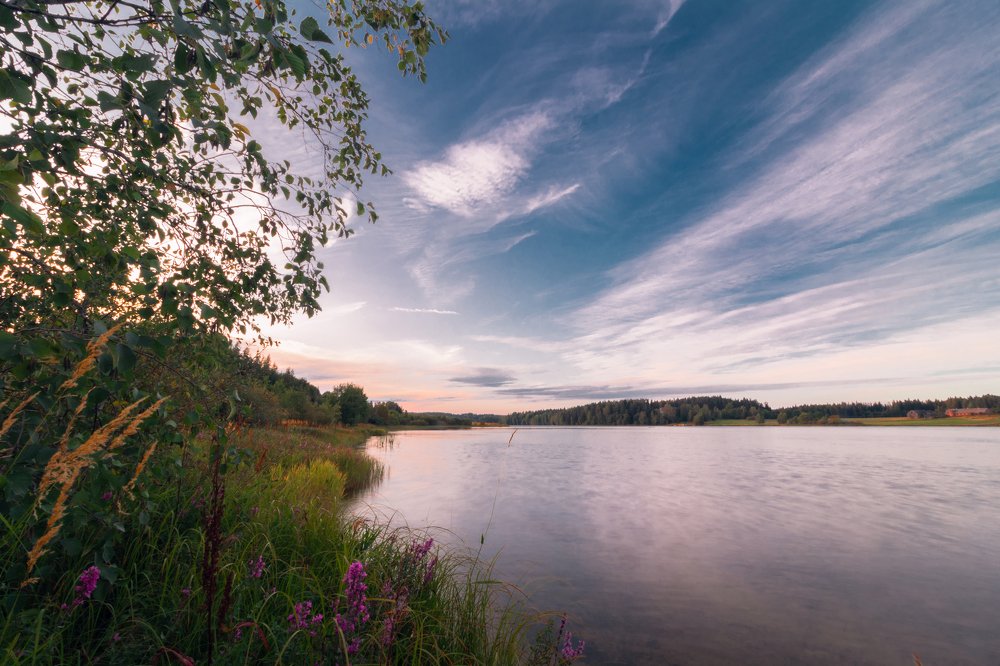 Photograph by Andrey Lesnik