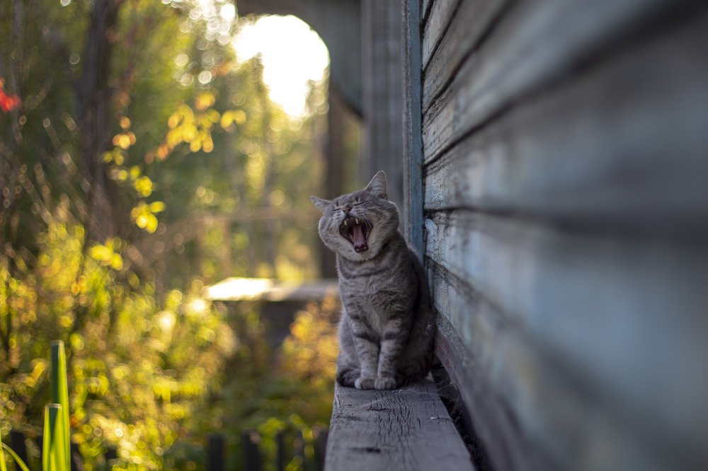 Photograph by Elena Kostochkina