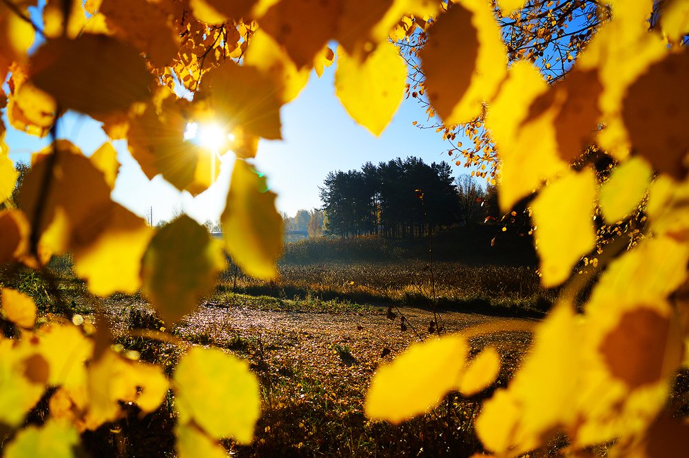 Photograph by Екатерина Яковлевская
