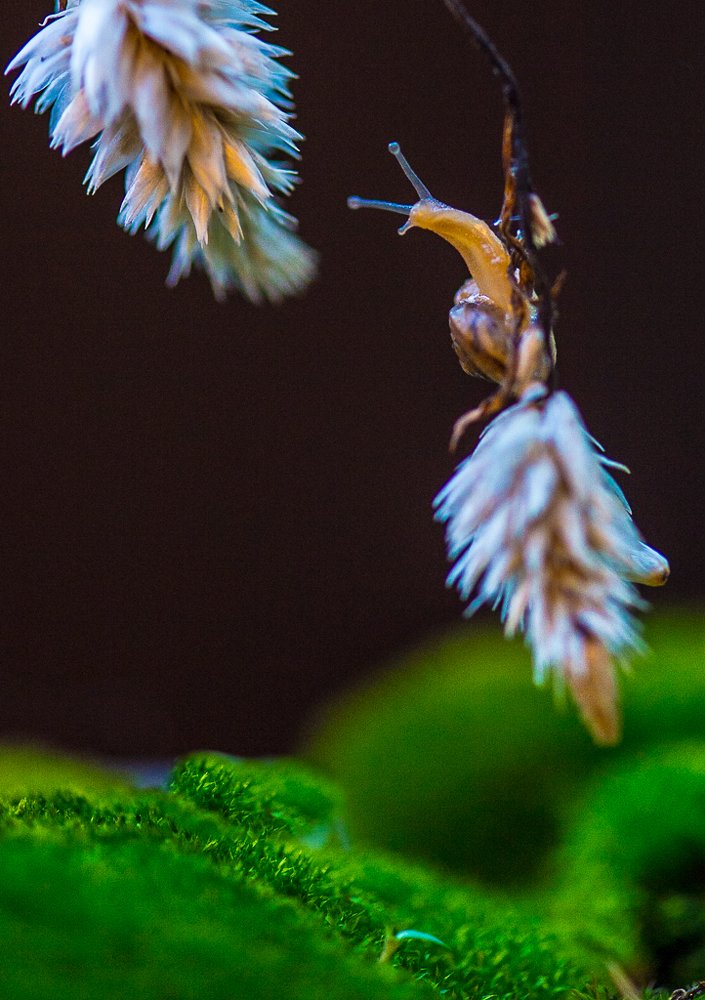 Фотография автора Maurice Leung