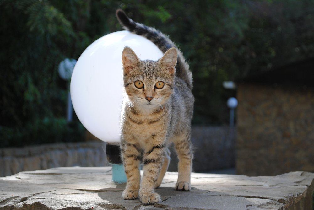 Photograph by Виктория