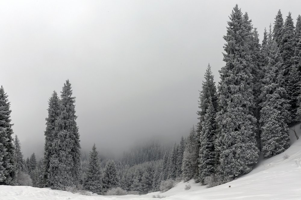 Photograph by Аскар Баймухамедов