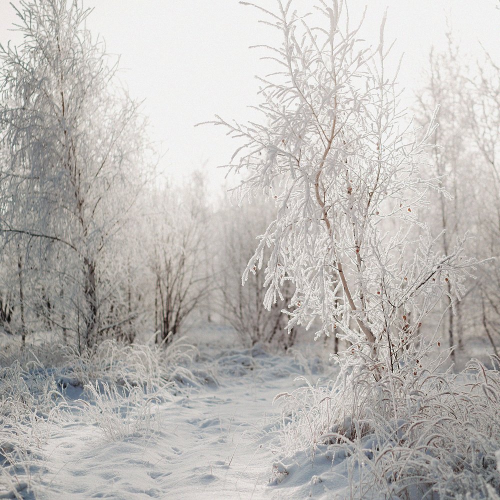 Фотография автора Анна Беляева