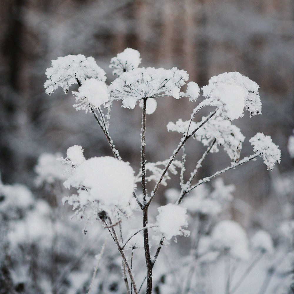 Фотография автора Анна Беляева