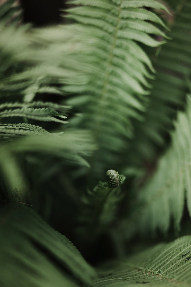 Фотография автора Анна Беляева