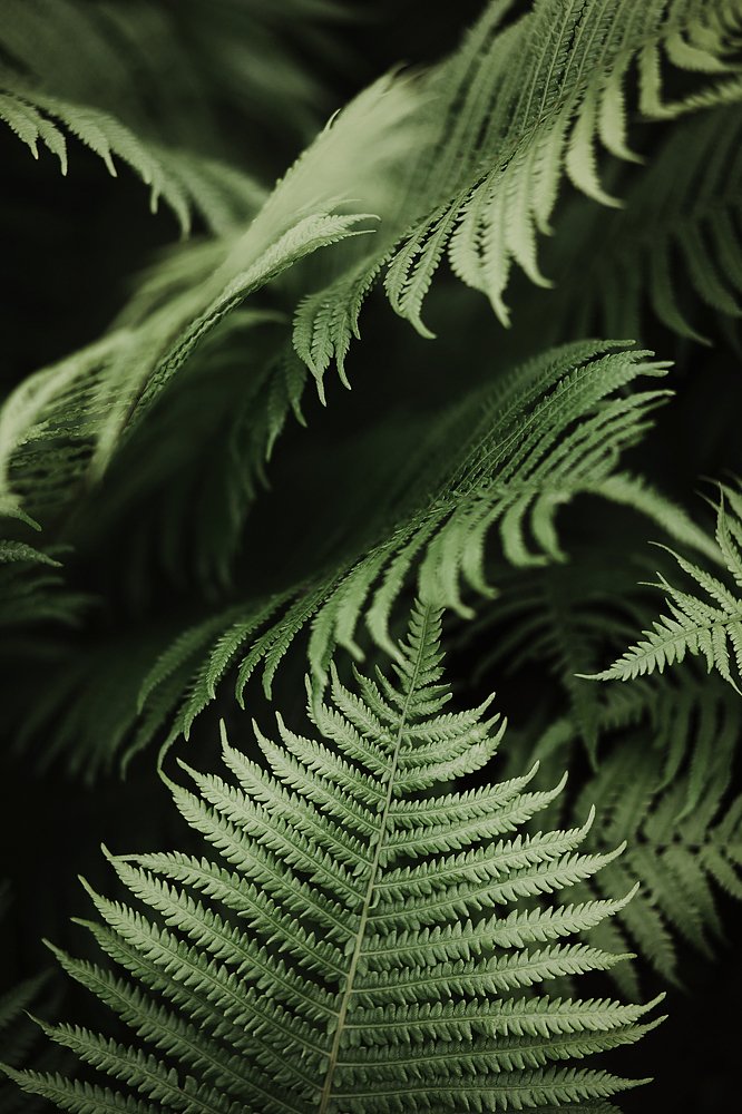 Фотография автора Анна Беляева