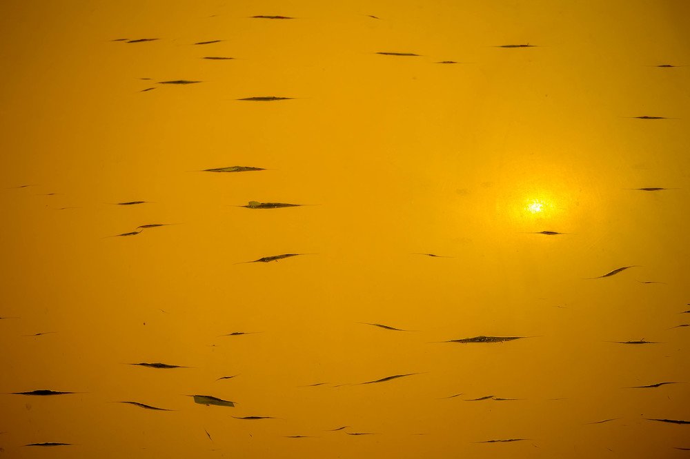 Photograph by Denis  Goryachev