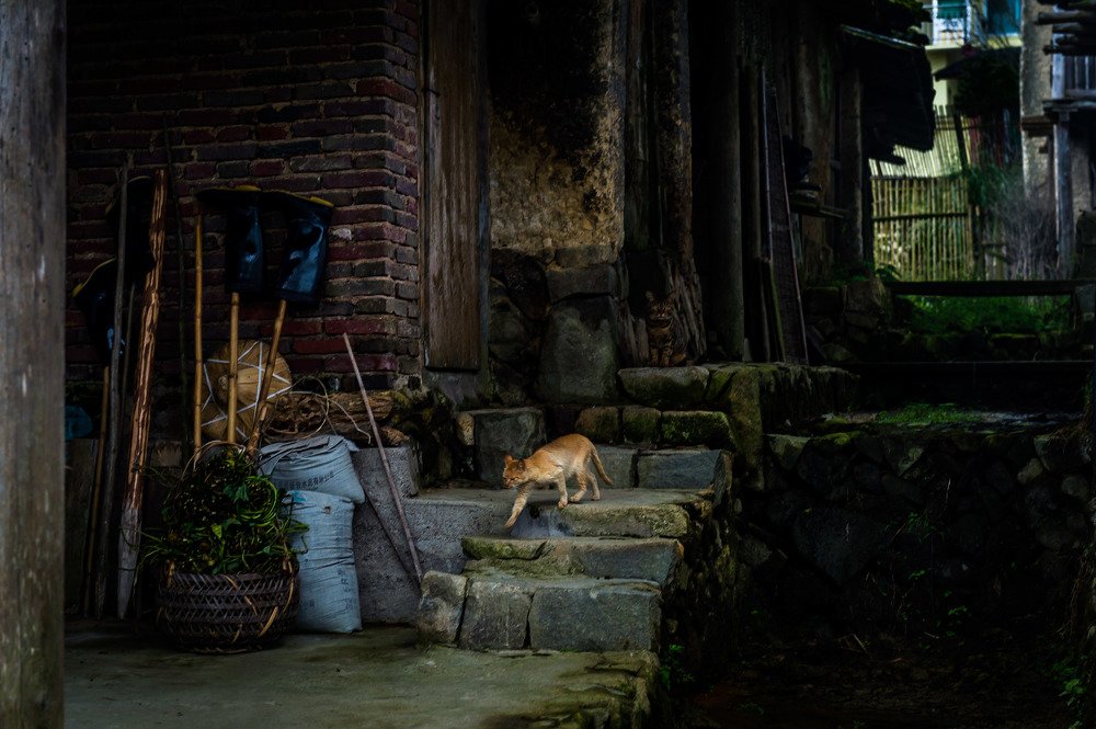 Фотография автора Maurice Leung