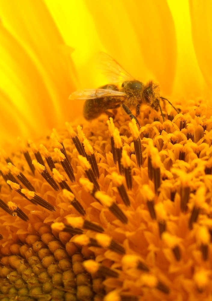 Photo #3579984