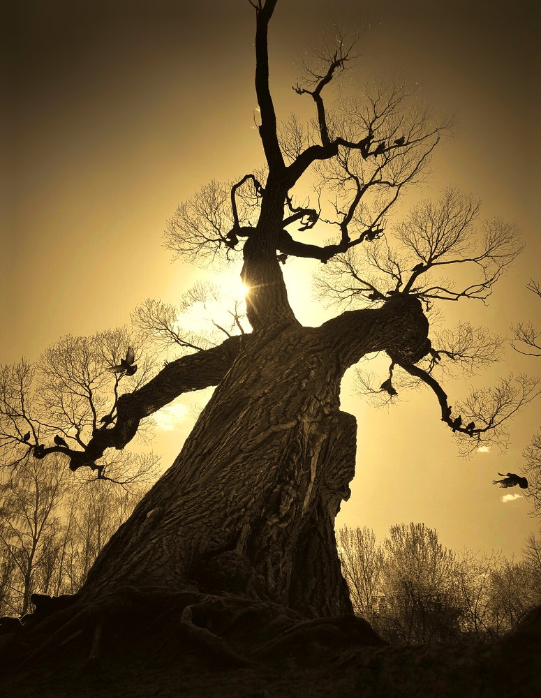 Photograph by Валентина Старикова