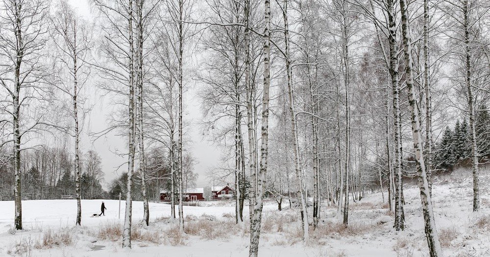 Photograph by Alla Fedina