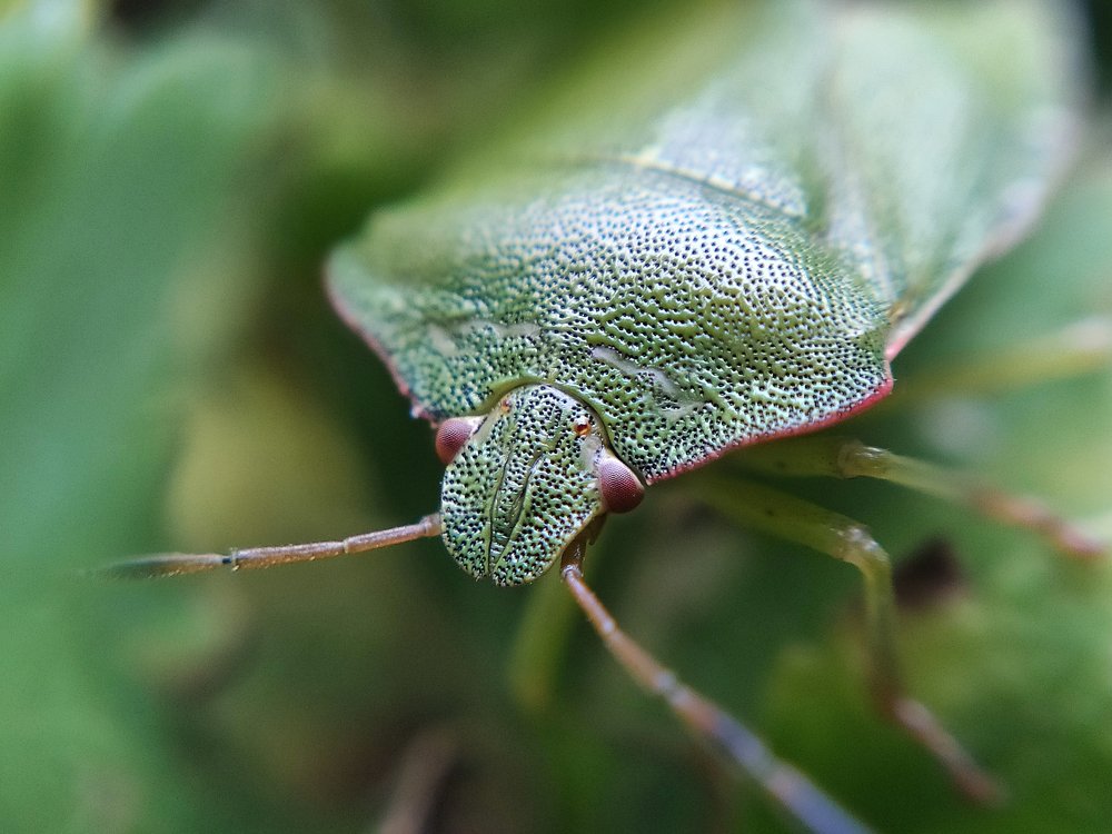 Photograph by Ekaterina Fadeeva