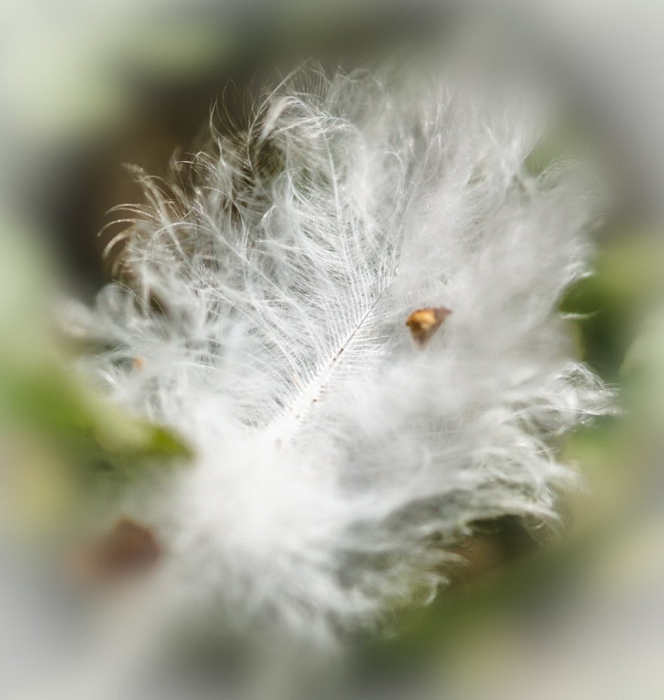 Photograph by Karina Elena Bergagna