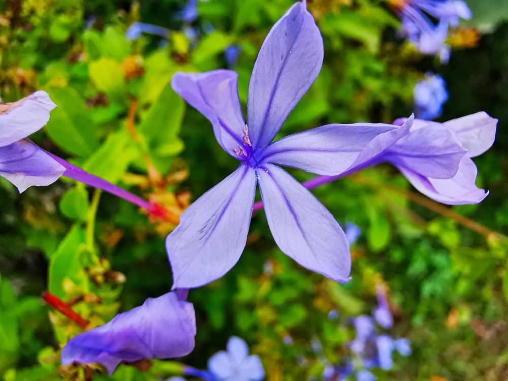 Photograph by Sandor Zoltan Gal