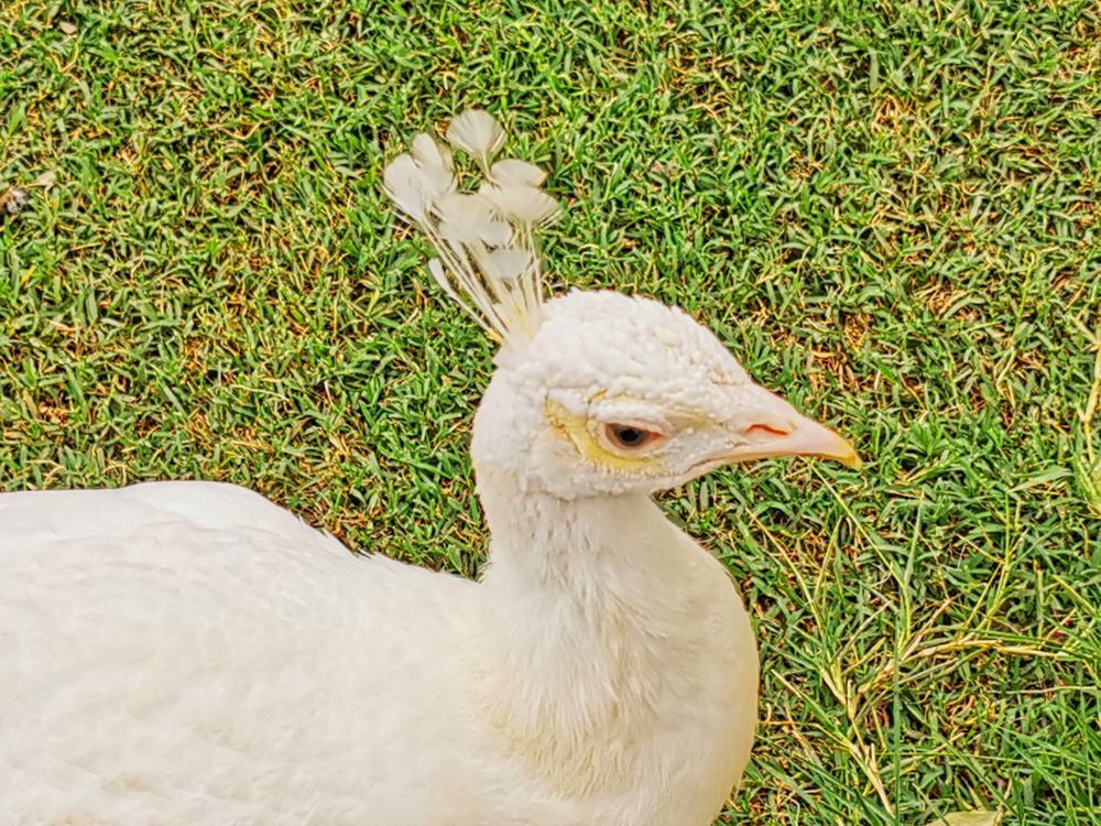 Photograph by Sandor Zoltan Gal