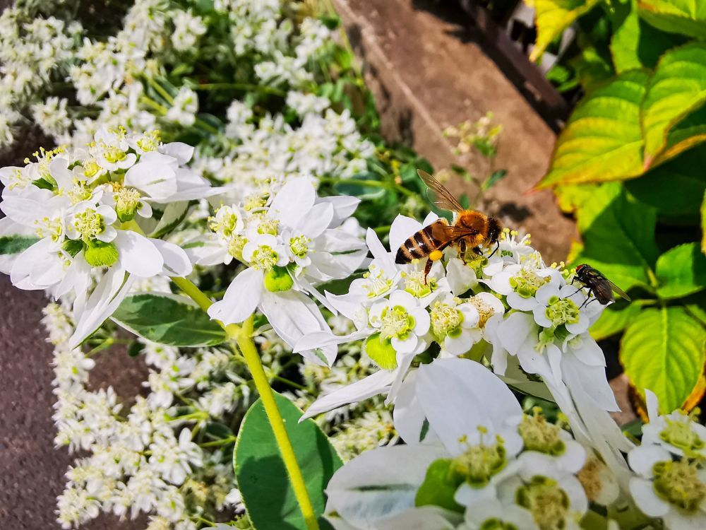 Photograph by Sandor Zoltan Gal