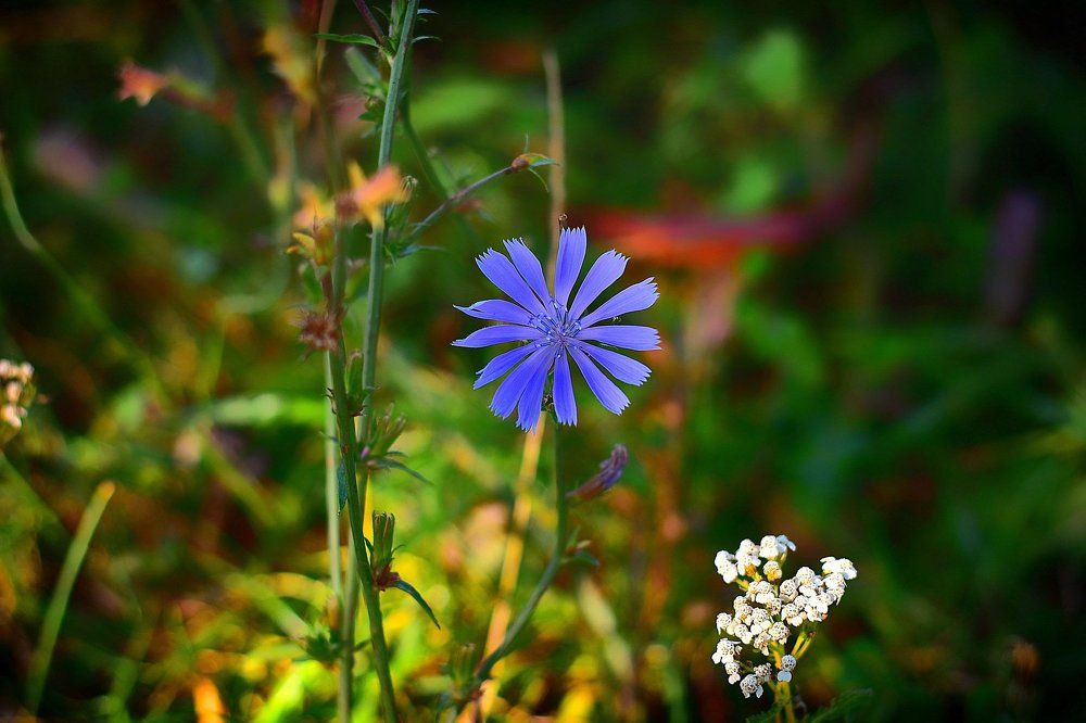 Photograph by Cергей Землянский
