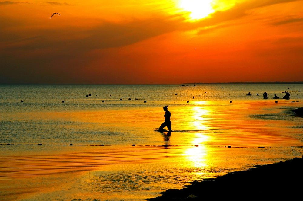 Photograph by Борис Каширин