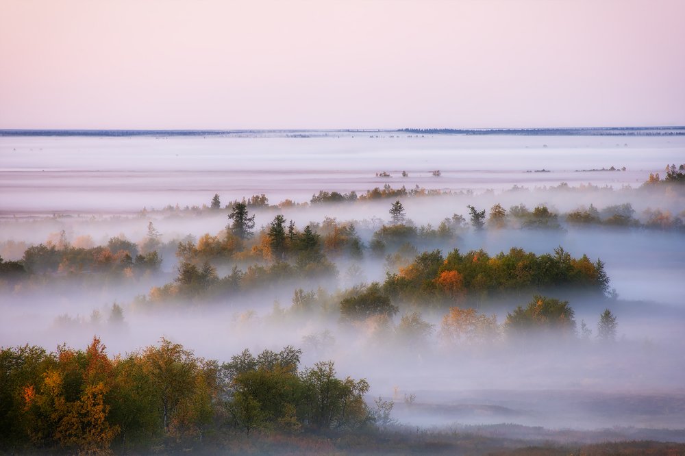Фотография автора Василий Чобот