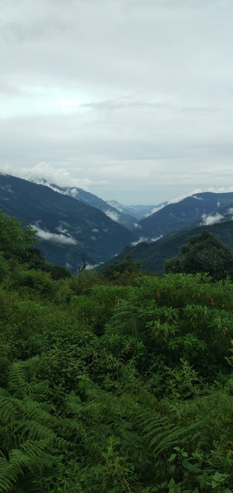 Photo #3580171