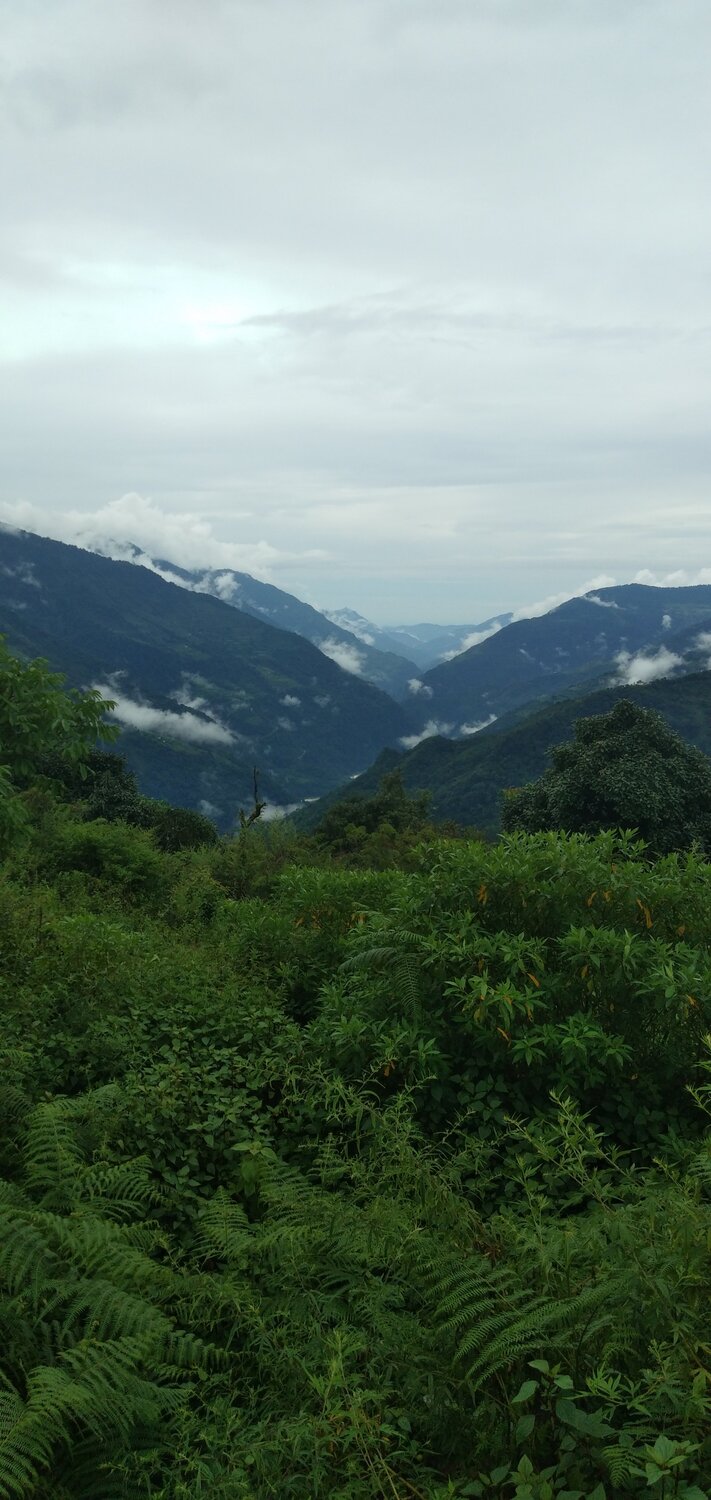 Photo #3580171