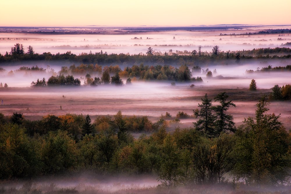 Фотография автора Василий Чобот
