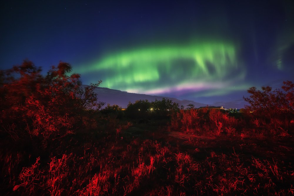Фотография автора Василий Чобот
