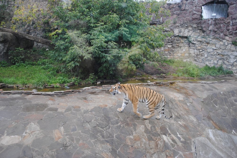 Photograph by Виктория