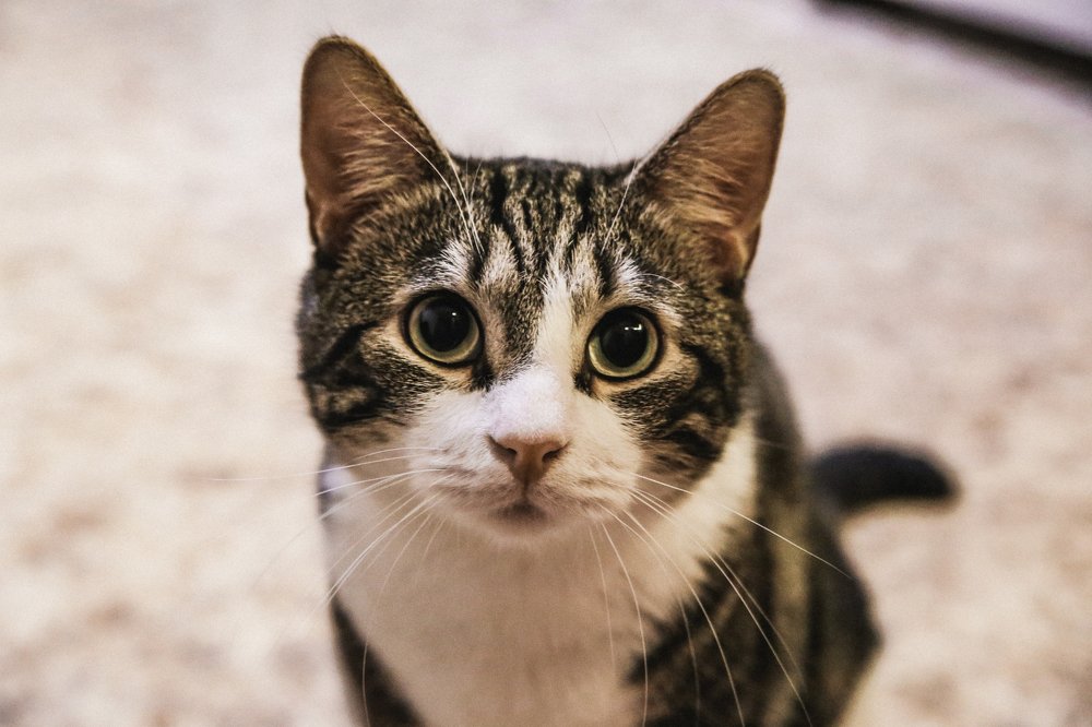 Photograph by Дмитрий Малышев