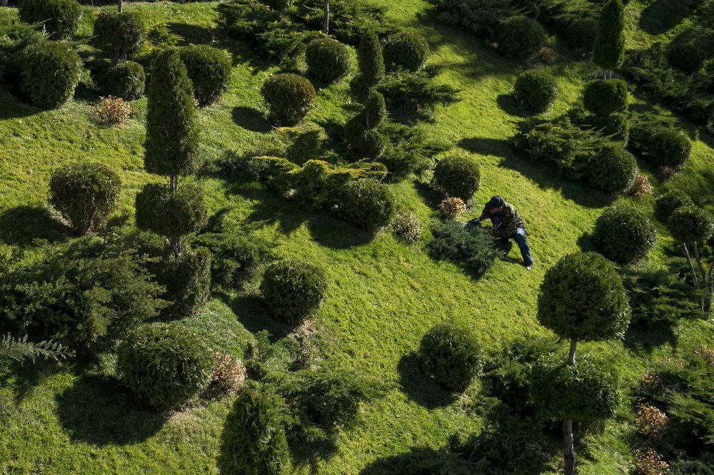 Photograph by Andrzej Orlowski