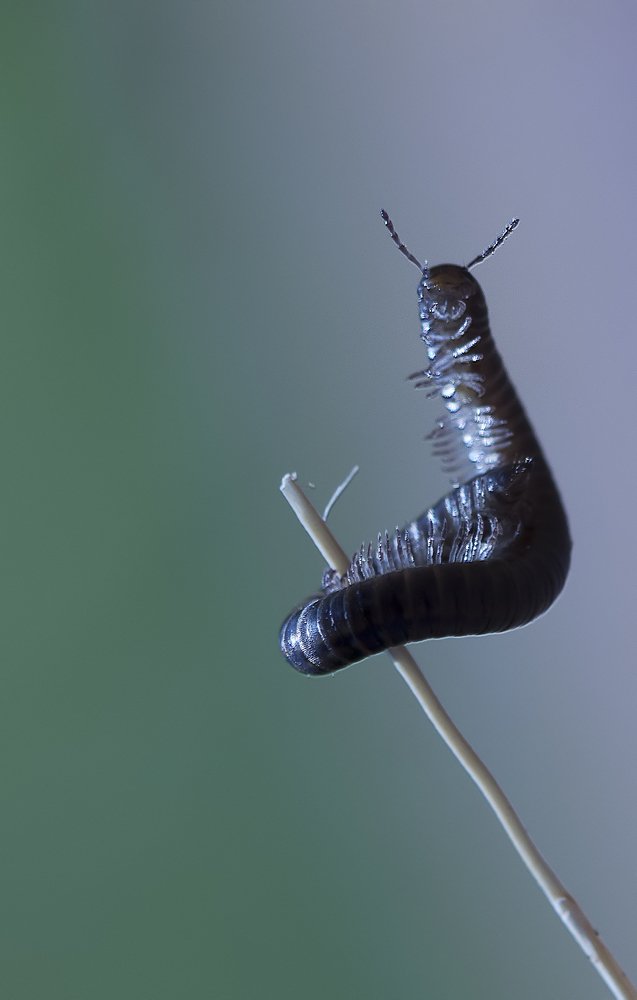 Photograph by Борис Саватюгин