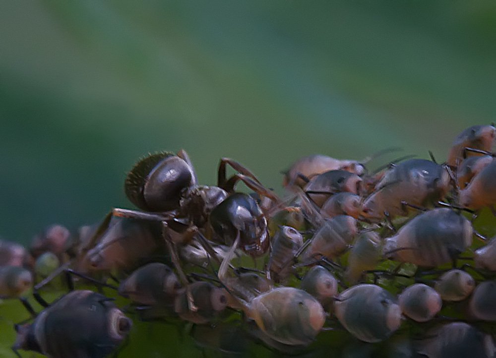 Photograph by Борис Саватюгин