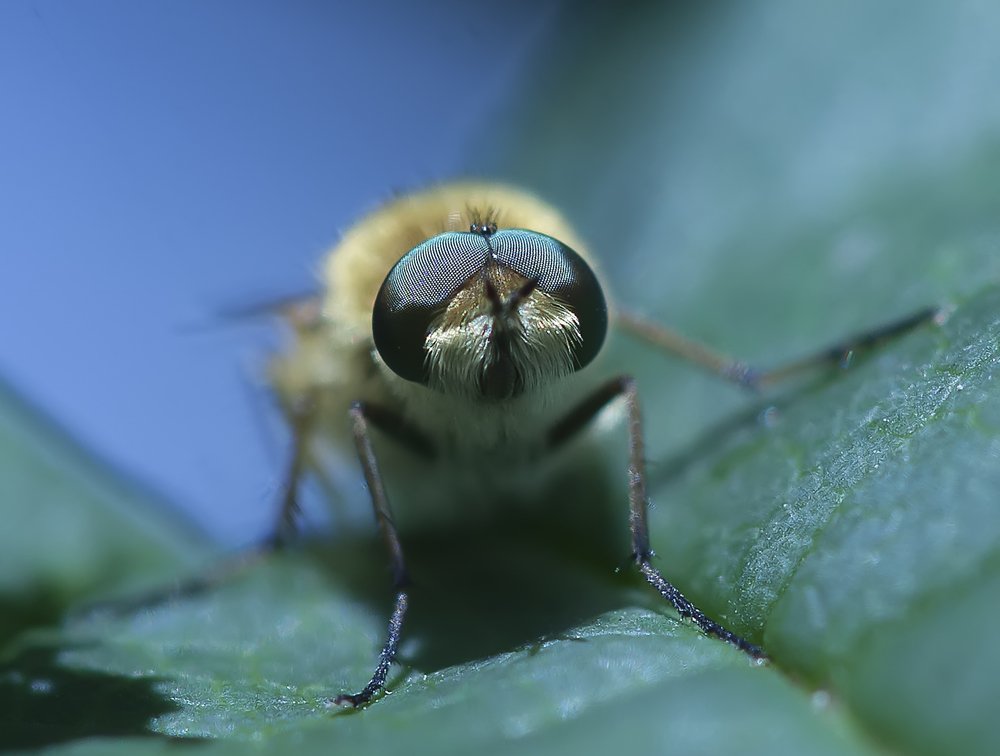 Photograph by Борис Саватюгин