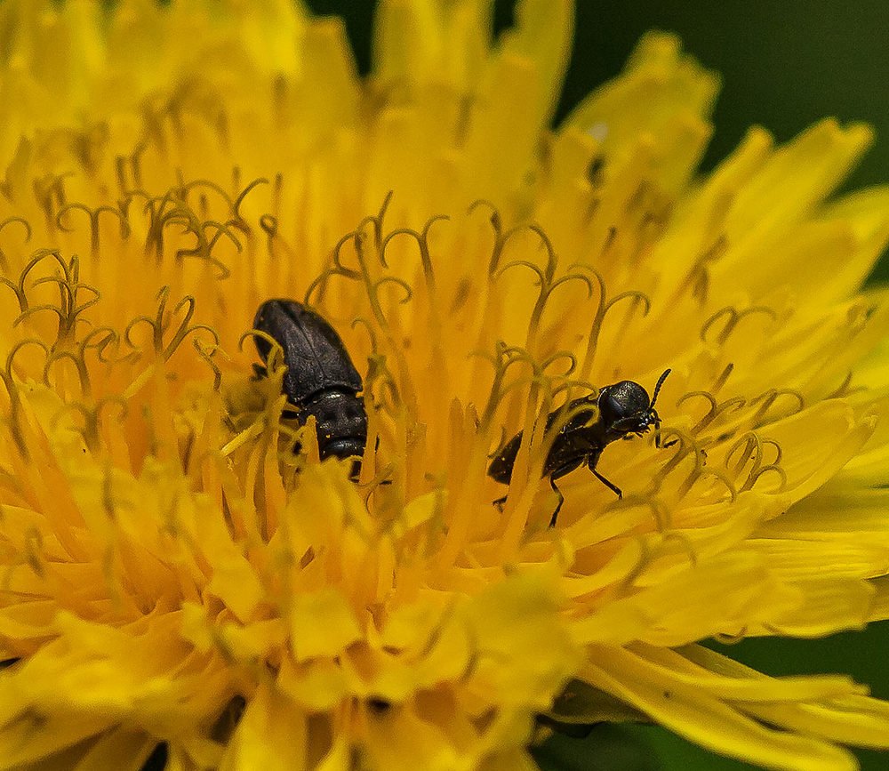 Photograph by Борис Саватюгин