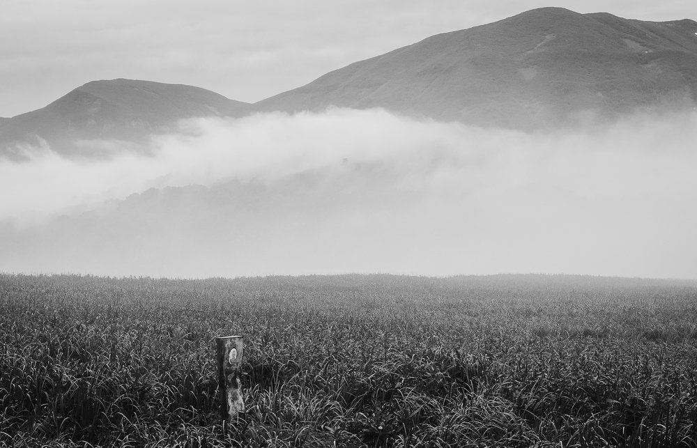 Буря над вечным покоем