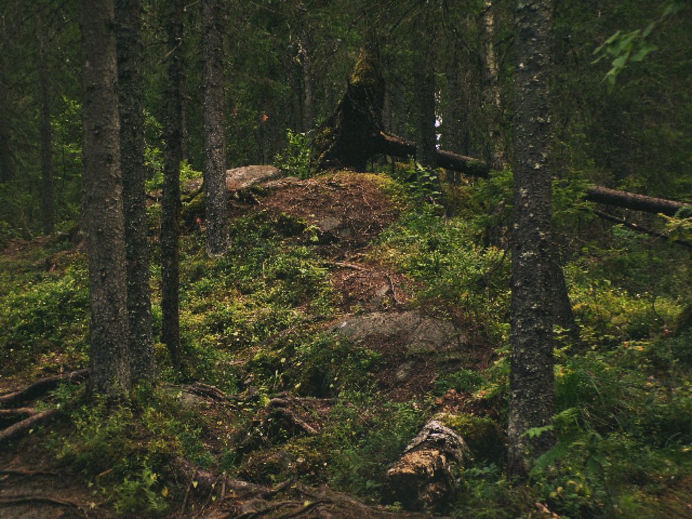 Photograph by Анна Аверьянова