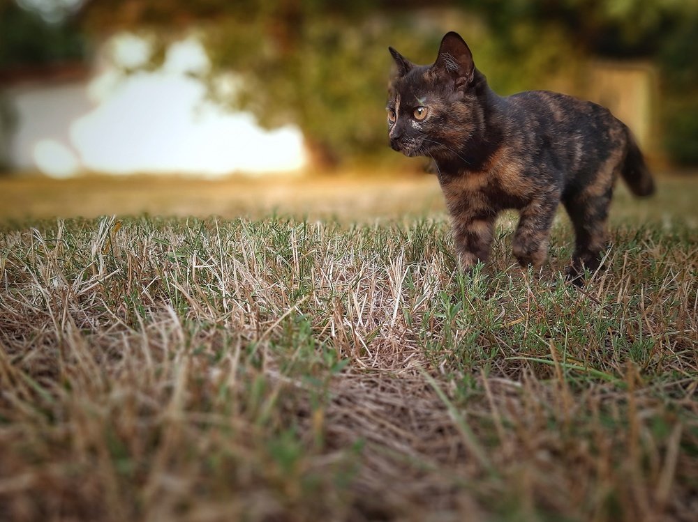 Photograph by Сергей Колос