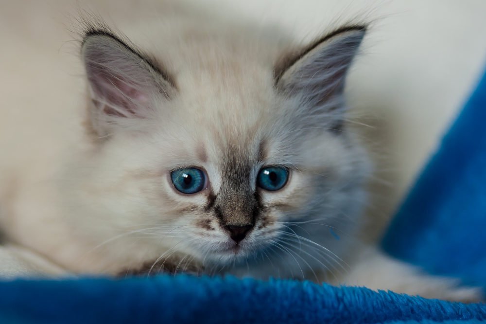 Photograph by Борис Саватюгин