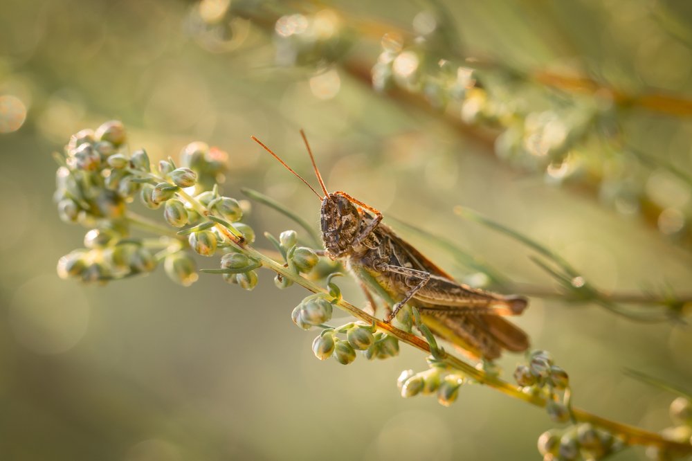 Задумался...