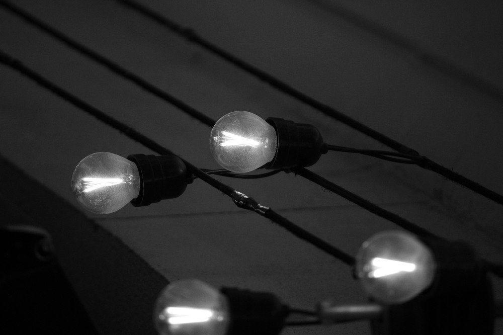 Photograph by RENAN TREVIZAN SANTOS