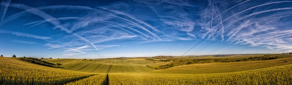 Photograph by Martin Kucera