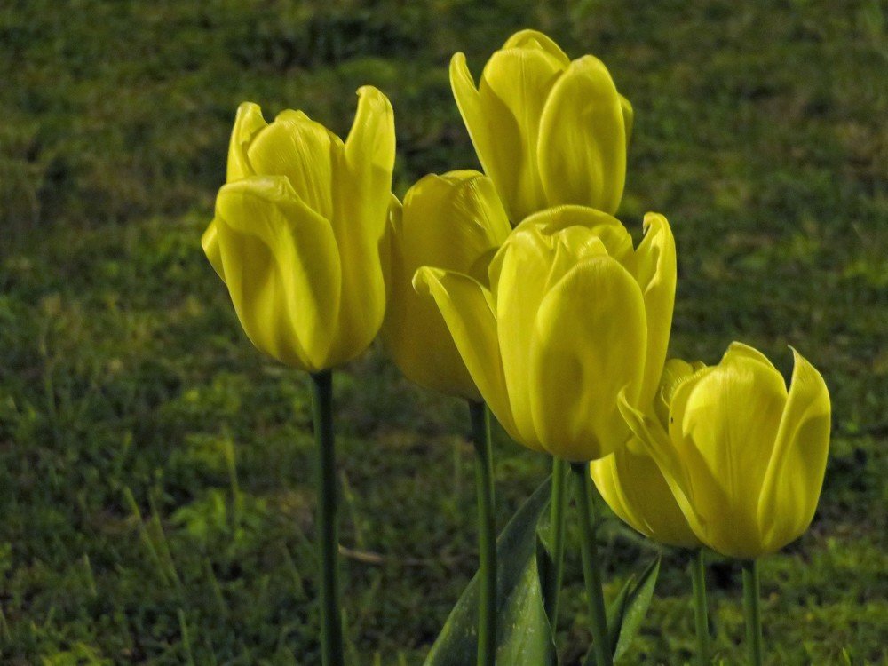 Photograph by Isabel Moreira