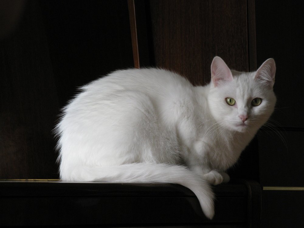 Photograph by Николай Соколовский