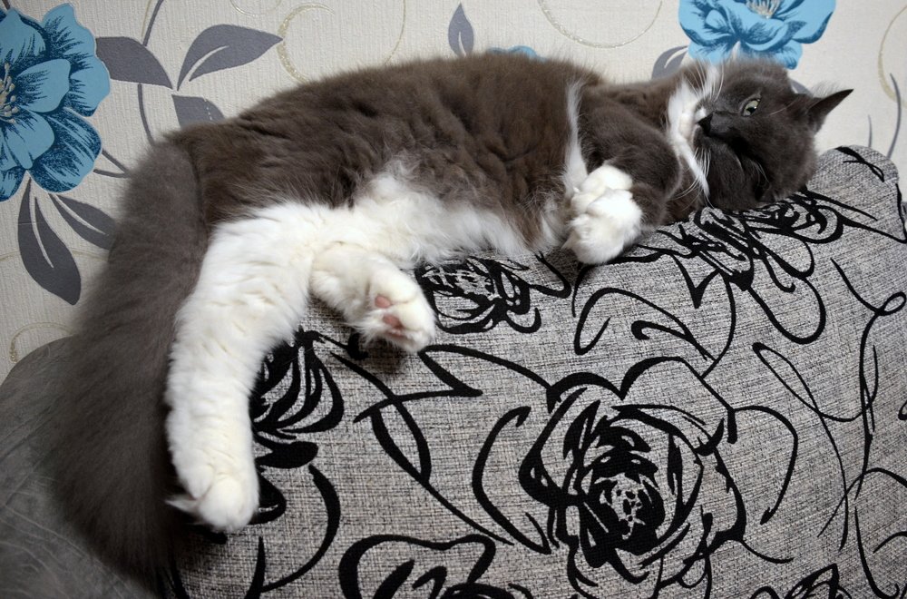 Photograph by Николай Соколовский