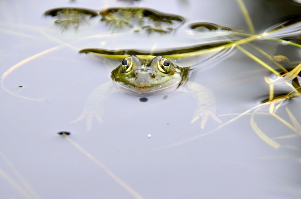 Photograph by Николай Соколовский
