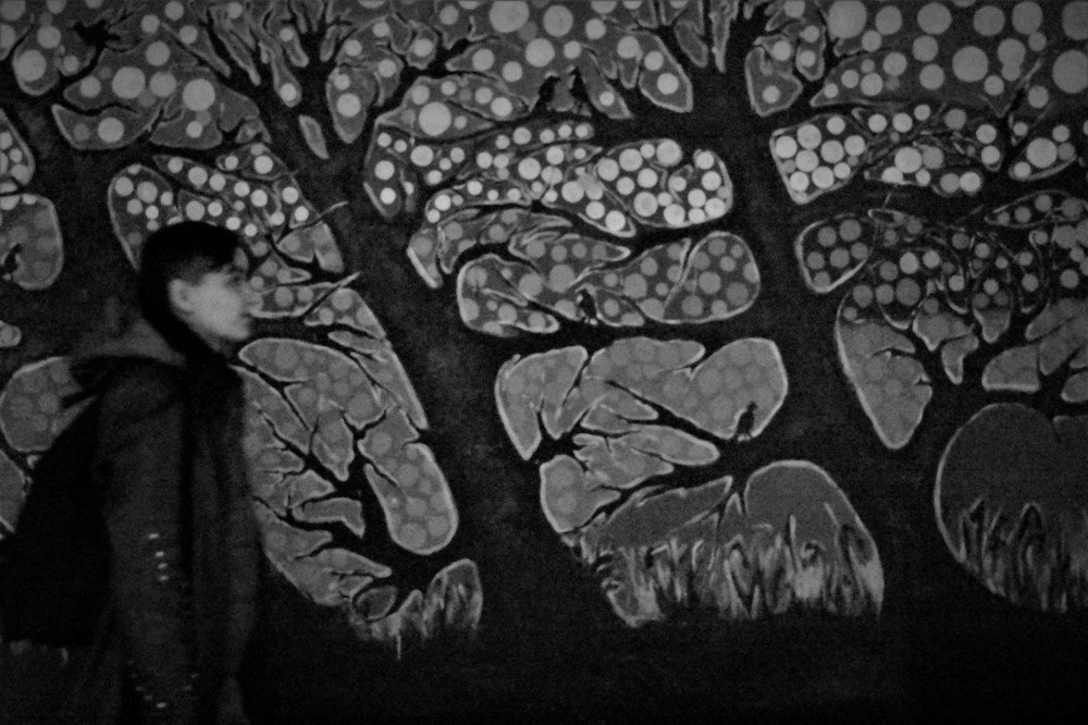 Photograph by Патрисия Каляганова